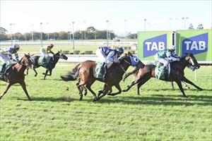 Irish Medley storms home at Cranbourne Irish Medley storms home at Cranbourne